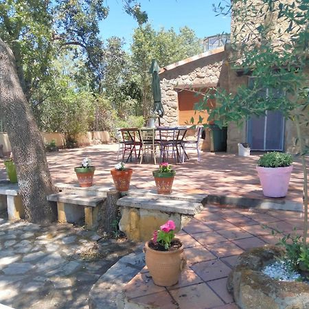 Casa Rural Vinas Perdidas Бехар Екстер'єр фото