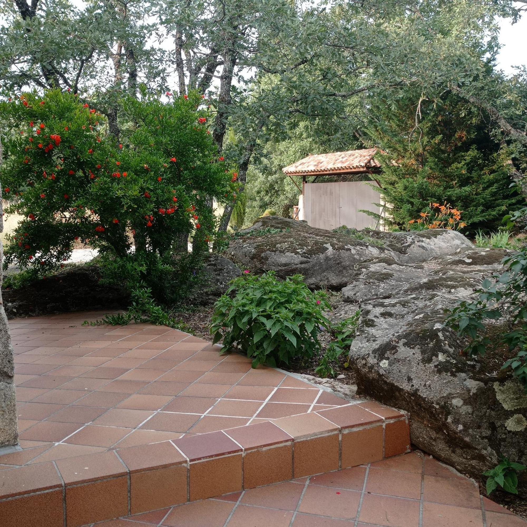 Casa Rural Vinas Perdidas Бехар Екстер'єр фото